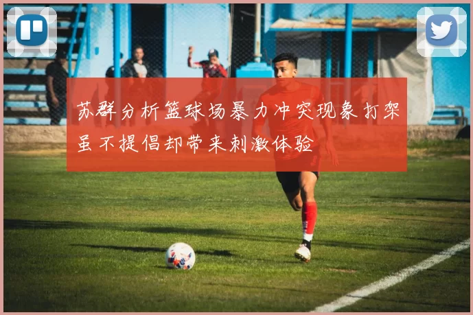 苏群分析篮球场暴力冲突现象打架虽不提倡却带来刺激体验